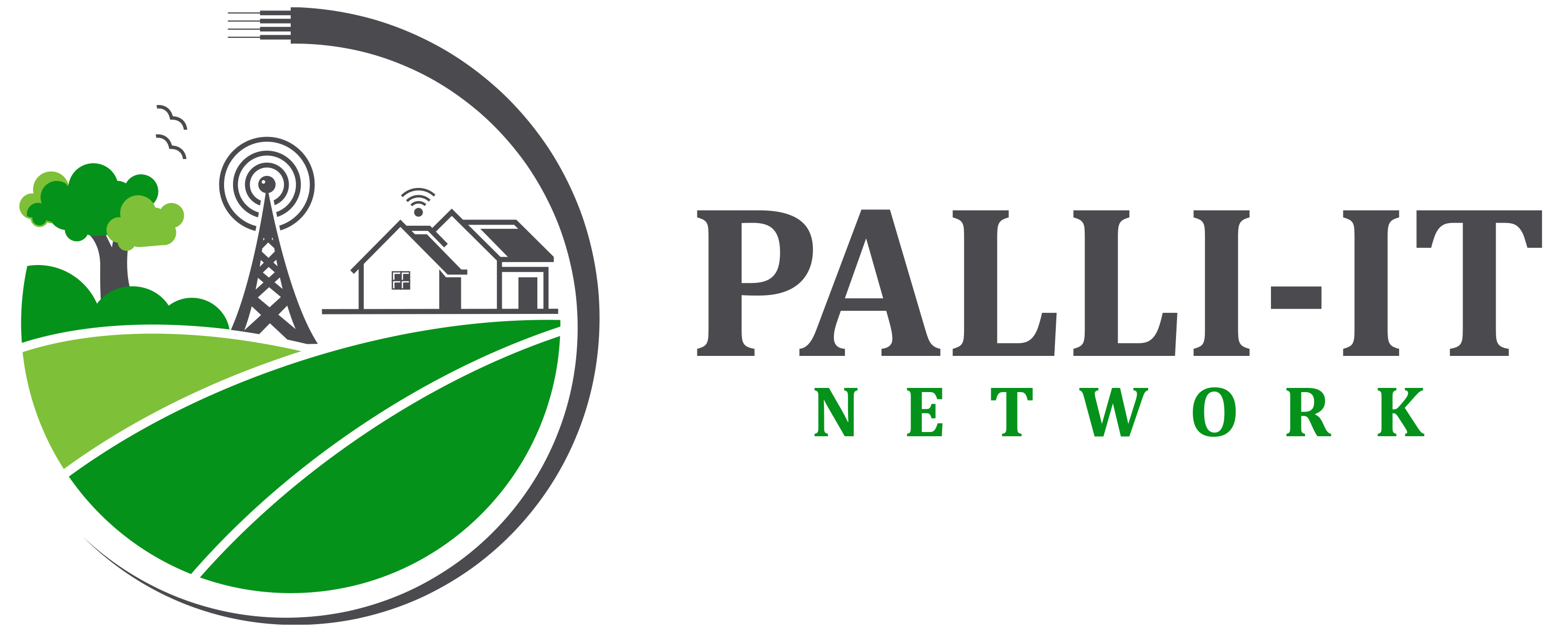 Polli IT Network-logo